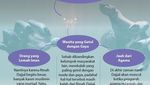 3 Ciri Wanita Pengikut Dajjal di Akhir Zaman