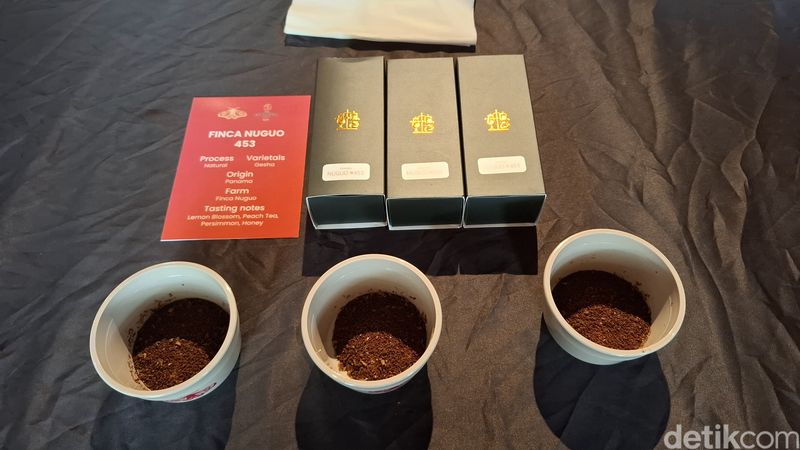 Keseruan Cupping Belasan Biji Kopi Eksotik Terbaik dari Panama