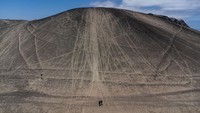 Akhirnya, asosiasi hutan nasional Chile, CONAF, mengubah area tersebut menjadi bagian dari Cagar Alam Nasional Pampa del Tamarugal. 