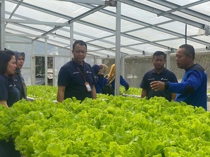 Begini Peran Agribisnis buat Jaga Pasokan Pangan Nasional