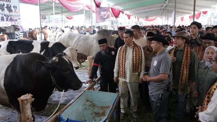 Menteri Pertanian Andi Amran Sulaiman