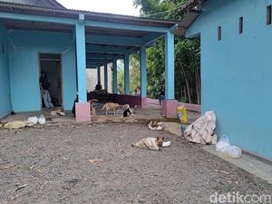 Disekap Terlalu Lama, 1 Ekor Anjing yang Akan Diselundupkan ke Solo Mati