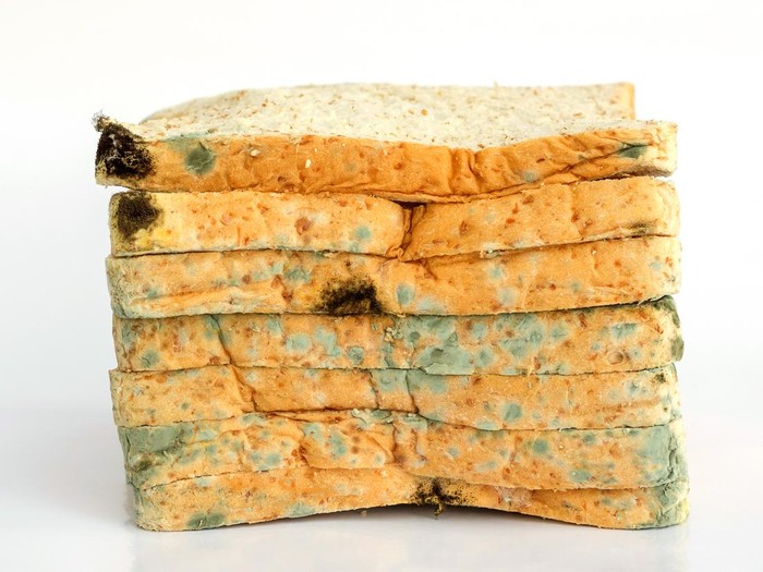 Roti tawar berjamur