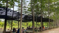 Dalam satu kawasan terdapat beberapa area makan. Mulai dari area makan lesehan outdoor seperti ini yang cocok jika ingin menikmati udara sejuk. Foto: Detikcom / Atiqa Rana