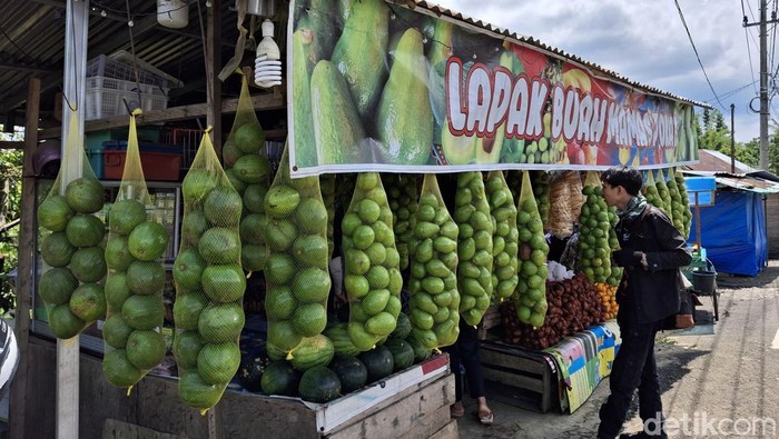Salah satu lapak penjual buah alpukat di Pagar Alam