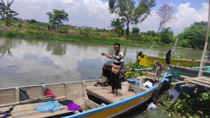 Sungai Kedungpeluk, Sidoarjo lokasi buaya kerap muncul