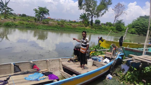 Sungai Kedungpeluk, Sidoarjo lokasi buaya kerap muncul