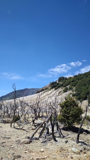 Menyusuri Keindahan Alam dan Jejak Sejarah Gunung Papandayan