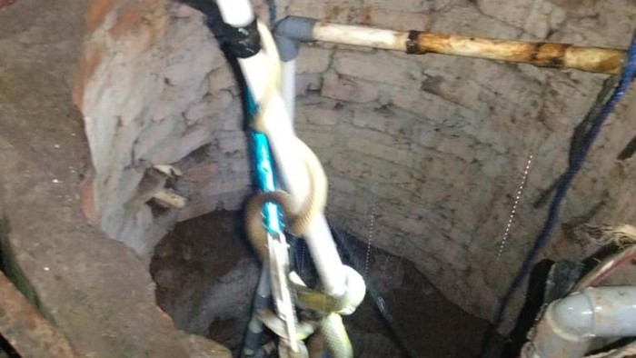 Ular-ular memasuki lingkungan rumah warga di Lubuklinggau.
