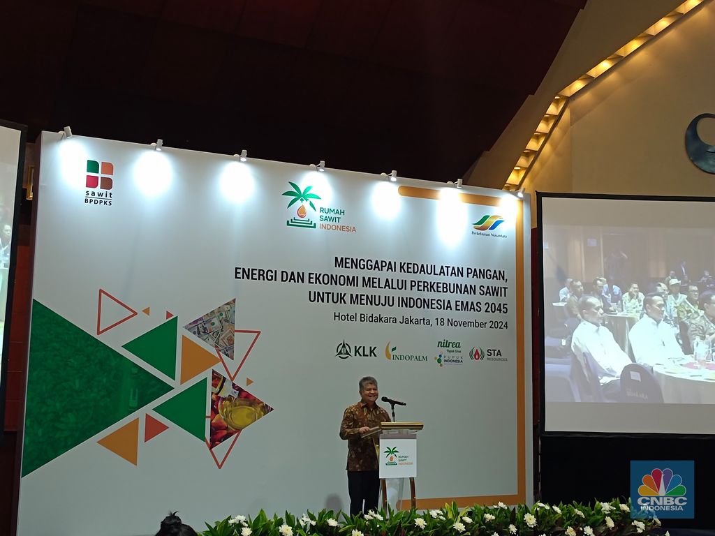 Deputi II Bidang Koordinasi Pangan dan Agribisnis Kementerian Koordinator Bidang Perekonomian, Dida Gardera dalam Seminar Rumah Sawit Indonesia di Jakarta, Senin (18/11/2024). (CNBC Indonesia/Martyasari Rizky)