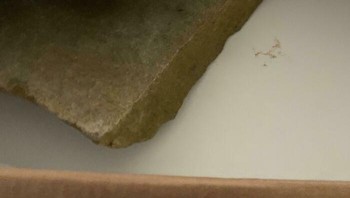 Pesan PlayStation yang didapatkan malah batu.. Foto: Demilked