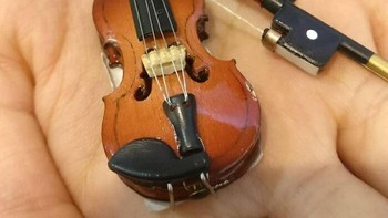 Beli biola malah dapat miniatur. Foto: Demilked