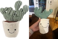 Foto Produk Online vs Kenyataan