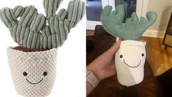 Perbandingan foto yang dipajang dan kenyataan... Foto: Demilked