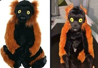 Foto Produk Online vs Kenyataan