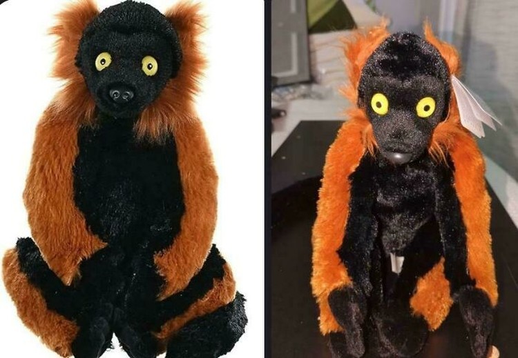 Foto Produk Online vs Kenyataan