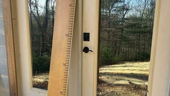 Netizen ini beli penggaris di Temu, ukuran yang datang mengejurkan... Foto: Demilked