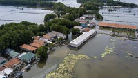 Foto udara pemukiman terdampak banjir rob di Kampung Sembilangan, Tarumajaya, Kabupaten Bekasi, Jawa Barat, Senin (18/11/2024).