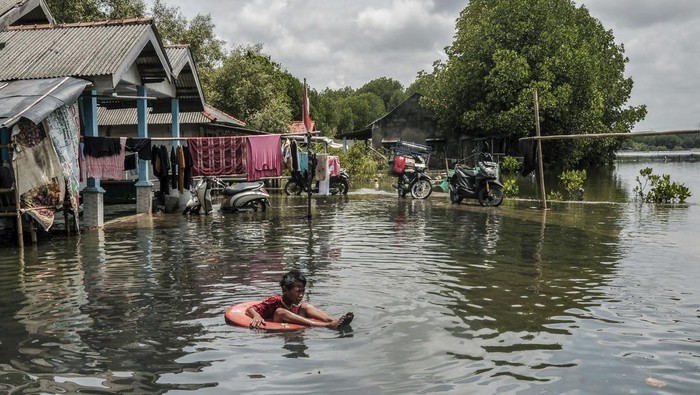Foto udara pemukiman dan Madrasah Ibtidaiyah (MI) Al-Hidayah Al Khairiyah terdampak banjir rob di Kampung Sembilangan, Tarumajaya, Kabupaten Bekasi, Jawa Barat, Senin (18/11/2024). Banjir rob akibat pasang air laut telah menggenangi wilayah tersebut selama empat hari dengan ketinggian 30-50 cm. ANTARA FOTO/ Fakhri Hermansyah/agr