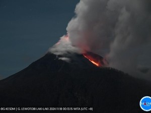 Gunung Lewotobi Gugurkan Awan Panas 1 Km