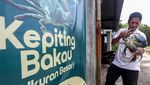Kepiting Bakau Aceh Tembus Pasar Singapura-China, Harga Rp 420 Ribu/Kg