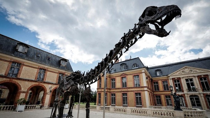 Kerangka dinosaurus apatosaurus Vulcain di kastil Dampierre di Dampierre-en-Yvelines, Paris.