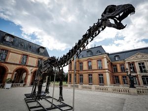 Lelang Kerangka Dinosaurus Raksasa di Paris Laku Rp 100 M