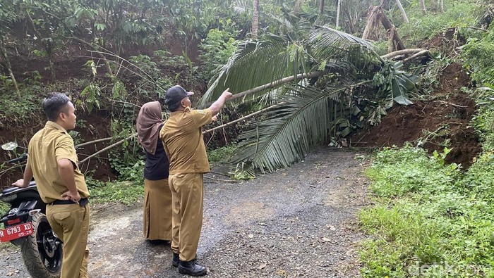 Tebing setinggi 30 meter longsor menutup jalur alternatif Kecamatan Bawang–Pagedongan, Banjarnegara, Senin (18/11/2024).