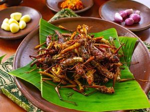 Meski Tampak Menjijikkan, 5 Serangga Ini Bernutrisi Tinggi