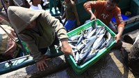 Sejumlah pekerja memindahkan ikan dari kapal tangkap ke dermaga di Tempat Pelelangan Ikan (TPI) Kota Gorontalo, Gorontalo, Senin (18/11/2024).  
