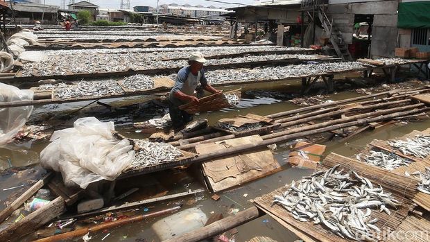 Banjir luapan air laut atau rob merendam permukiman di Muara Angke, Jakarta Utara. Menurut BPBD Jakarta, rob tersebut karena fenomena pasang maksimum air laut bersamaan dengan fase bulan baru, Senin (18/11/2024).