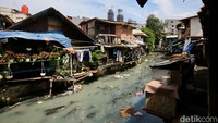 Kondisi tersebut membuat kawasan itu terlihat kumuh.  