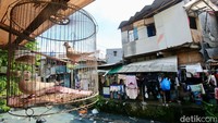Permukiman padat penduduk dapat disebabkan kondisi ekonomi masyarakat yang kurang baik lantaran tidak memiliki pekerjaan yang layak. Dengan begitu, mereka yang belum mampu memiliki hunian lain terpaksa tetap tinggal bersama keluarga besar.  