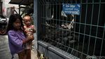 Potret Permukiman Padat Tanpa Spasi di Jakarta