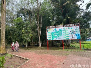 Melihat Nasib Medan Zoo, Dulu Berjaya Kini merana