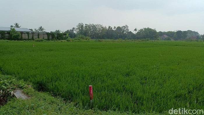 Patok tol Jogja-Solo-YIA di kawasan Kradenan, Gamping, Sleman, Senin (18/11/2024).