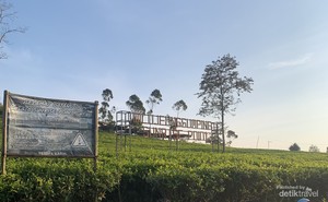 Cuma Modal Rp 15 Ribu, Bisa Lihat Sunrise Secantik Ini di Pangalengan
