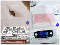 5 Kontroversi Temuan Codeblu, Kecoak di Resto hingga Tipuan Timbangan Supermarket