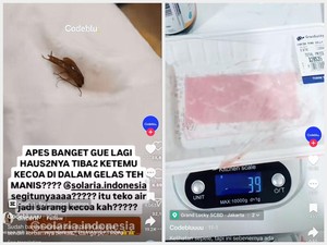 5 Kontroversi Temuan Codeblu, Kecoak di Resto hingga Tipuan Timbangan Supermarket
