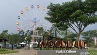 Ferris Wheel di WoodLand menjadi daya tarik utama, cocok untuk anak-anak dan dewasa yang ingin menikmati pengalaman unik.  