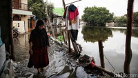 Tadi sore, tinggi banjir rob tinggal semata kaki.  