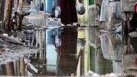 Warga melintas di jalanan yang masih terendam banjir rob.  