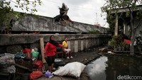 Menurut keterangan warga, banjir rob biasanya terjadi pada pukul 09.00 WIB.    