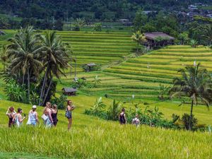 Bali Tourism Run 2026 Ajak 2.000 Pelari Nikmati Panorama Jatiluwih