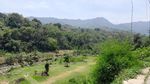 Potret Indah Desa Wisata Mekarbuana Karawang, Sawah Hijau Sejauh Mata Memandang