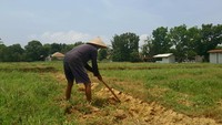Para traveler dapat menikmati pemandangan alam yang indah serta mengenal lebih dalam kekayaan budaya dan tradisi lokal yang kental. Warga di sini yang kebanyakan sebagai petani juga ramah-ramah. (Asti Azhari/detikTravel)