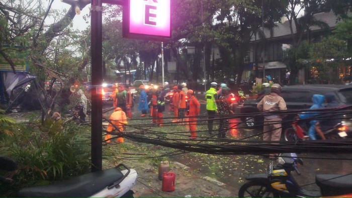 Hujan deras yang mengguyur wilayah Jakbar menyebabkan sebuah pohon berukuran besar tumbang. Arus lalu lintas sempat macet. (dok Polsek Kembangan)