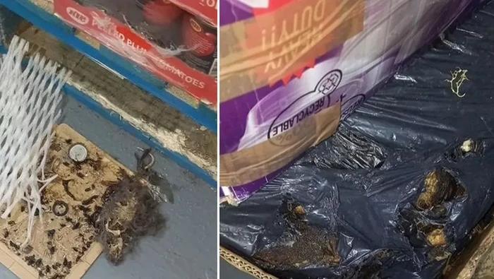 Jijik! Supermarket Ini Penuh Bangkai Tikus dan Makanan Tercemar