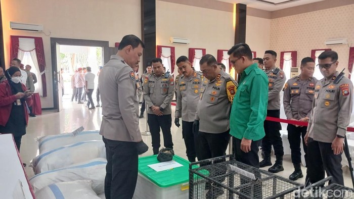 Kapolda Irjen Yan Fitri Halimansyah saat melihat barang bukti sisik trenggiling yang diamankan Ditreskrimsus Polda Kepri. (Alamudin Hamapu/detikSumut)