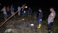 Petugas gabungan dari Balai Konservasi Sumber Daya Aalam (BKSDA) Aceh,Tim dokter hewan dan Polri mengamati Kondisi bangkai bayi gajah Sumatera (Elephas Maximus Sumatrensis) yang ditemukan mati di kawasan hutan Desa Alue Jang, Kecamatan Pasie Raya, Kabupaten Aceh Jaya, Minggu (17/11/2024).